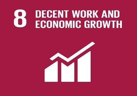 SDG Goal 8